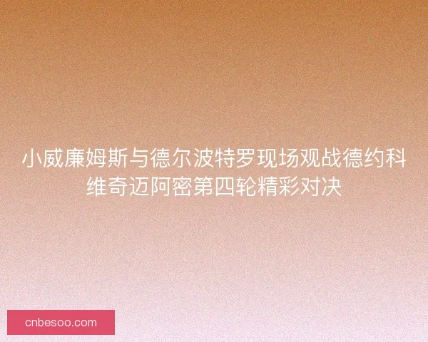 小威廉姆斯与德尔波特罗现场观战德约科维奇迈阿密第四轮精彩对决