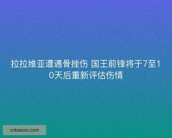 拉拉维亚遭遇骨挫伤 国王前锋将于7至10天后重新评估伤情